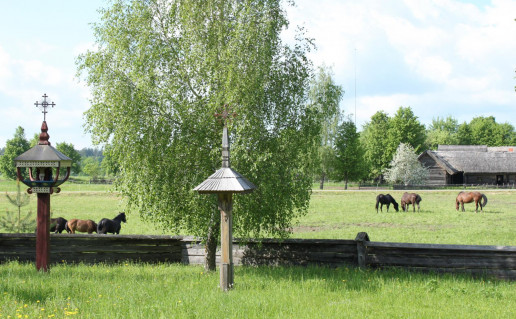 20_Lietuvos liaudies buities muziejus Rumsiskese.jpg